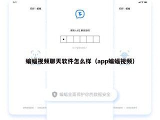 蝙蝠视频聊天软件怎么样（app蝙蝠视频）