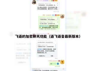 飞语的加密聊天功能（语飞语音最新版本）