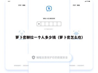 萝卜密聊拉一个人多少钱（萝卜密怎么吃）
