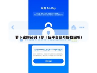 萝卜密聊id码（萝卜玩平台账号好找回嘛）