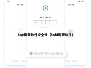 tox聊天软件安全性（toki聊天软件）