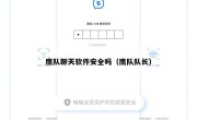鹰队聊天软件安全吗（鹰队队长）