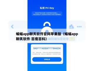 蝙蝠app聊天软件官网苹果版（蝙蝠app聊天软件 百度百科）