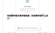 泡泡聊天提示端对端加密（泡泡聊天登不上去了）