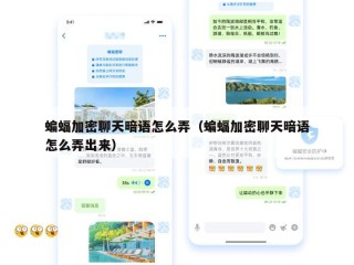蝙蝠加密聊天暗语怎么弄（蝙蝠加密聊天暗语怎么弄出来）