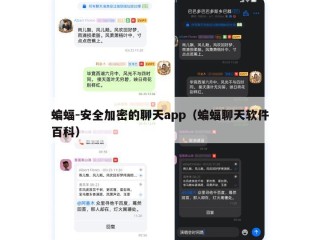 蝙蝠-安全加密的聊天app（蝙蝠聊天软件百科）