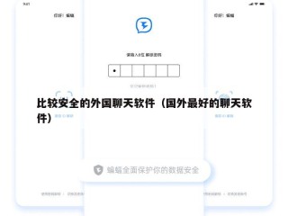 比较安全的外国聊天软件（国外最好的聊天软件）
