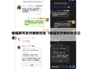 蝙蝠聊天软件删除好友（蝙蝠软件删除聊天记录）