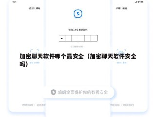 加密聊天软件哪个最安全（加密聊天软件安全吗）