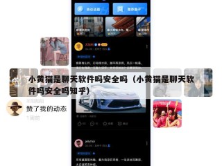 小黄猫是聊天软件吗安全吗（小黄猫是聊天软件吗安全吗知乎）