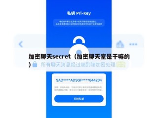 加密聊天secret（加密聊天室是干嘛的）