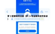 萝卜密聊如何注册（萝卜+专业聊天软件安卓）