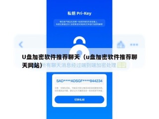 U盘加密软件推荐聊天（u盘加密软件推荐聊天网站）