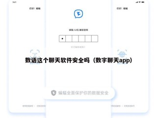 数语这个聊天软件安全吗（数字聊天app）