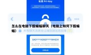 怎么在电脑下载蝙蝠聊天（电脑上如何下载蝙蝠）