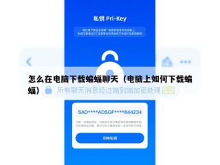 怎么在电脑下载蝙蝠聊天（电脑上如何下载蝙蝠）