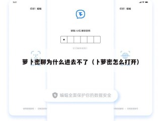 萝卜密聊为什么进去不了（卜萝密怎么打开）