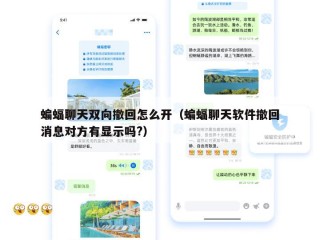 蝙蝠聊天双向撤回怎么开（蝙蝠聊天软件撤回消息对方有显示吗?）