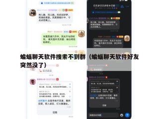 蝙蝠聊天软件搜索不到群（蝙蝠聊天软件好友突然没了）