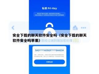 安全下载的聊天软件安全吗（安全下载的聊天软件安全吗苹果）