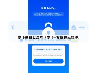 萝卜密聊公众号（萝卜+专业聊天软件）