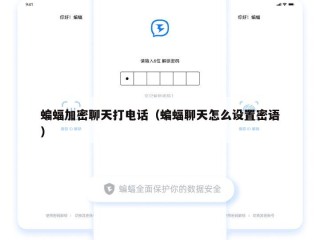 蝙蝠加密聊天打电话（蝙蝠聊天怎么设置密语）