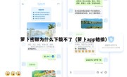 萝卜密聊为什么下载不了（萝卜app链接）