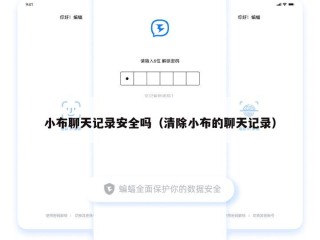 小布聊天记录安全吗（清除小布的聊天记录）