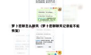 萝卜密聊怎么聊天（萝卜密聊聊天记录能不能恢复）