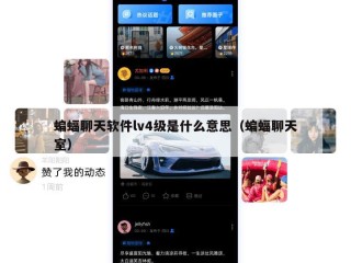 蝙蝠聊天软件lv4级是什么意思（蝙蝠聊天室）