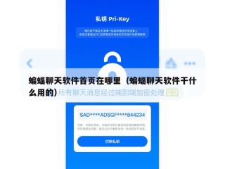 蝙蝠聊天软件首页在哪里（蝙蝠聊天软件干什么用的）