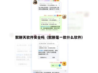 默聊天软件安全吗（默聊是一款什么软件）