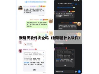 默聊天软件安全吗（默聊是什么软件）