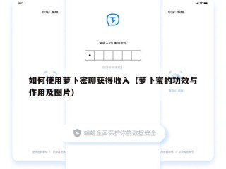 如何使用萝卜密聊获得收入（萝卜蜜的功效与作用及图片）