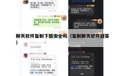 聊天软件复制下载安全吗（复制聊天软件回答）