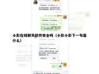 小彭在线聊天软件安全吗（小彭小彭下一句是什么）