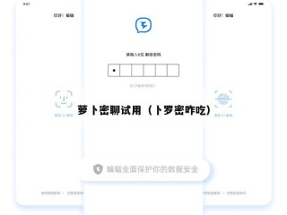 萝卜密聊试用（卜罗密咋吃）