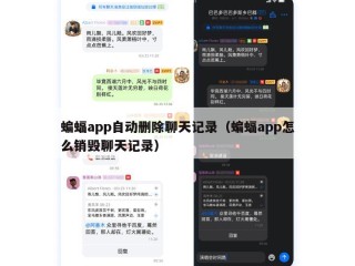 蝙蝠app自动删除聊天记录（蝙蝠app怎么销毁聊天记录）
