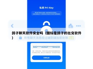 鸽子聊天软件安全吗（图标是鸽子的社交软件）