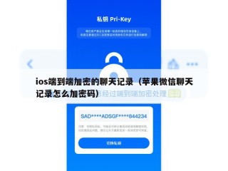 ios端到端加密的聊天记录（苹果微信聊天记录怎么加密码）