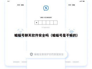 蝙蝠号聊天软件安全吗（蝙蝠号是干嘛的）