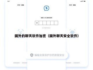 国外的聊天软件加密（国外聊天安全软件）