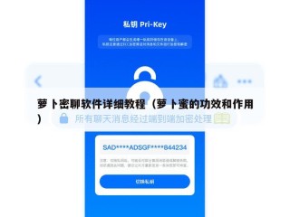 萝卜密聊软件详细教程（萝卜蜜的功效和作用）
