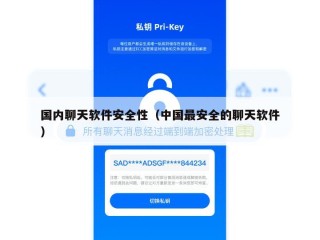 国内聊天软件安全性（中国最安全的聊天软件）