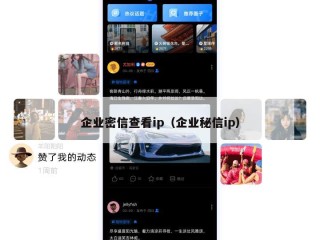 企业密信查看ip（企业秘信ip）