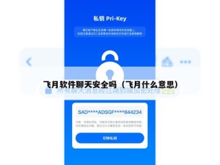 飞月软件聊天安全吗（飞月什么意思）