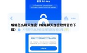 蝙蝠怎么聊天加密（蝙蝠聊天加密软件官方下载）