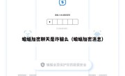 蝙蝠加密聊天是诈骗么（蝙蝠加密消息）