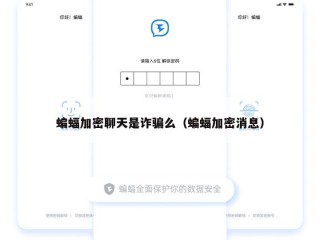 蝙蝠加密聊天是诈骗么（蝙蝠加密消息）