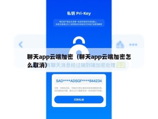 聊天app云端加密（聊天app云端加密怎么取消）
